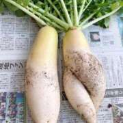 ヒメ日記 2026/01/10 13:41 投稿 琴美◇ことみ 人妻吐息