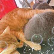 ヒメ日記 2026/01/18 12:41 投稿 琴美◇ことみ 人妻吐息