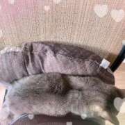 ヒメ日記 2026/01/21 11:01 投稿 琴美◇ことみ 人妻吐息