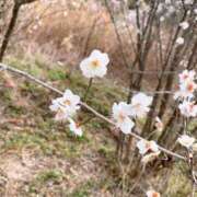 ヒメ日記 2026/02/05 13:44 投稿 琴美◇ことみ 人妻吐息