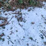 ヒメ日記 2026/02/10 13:04 投稿 琴美◇ことみ 人妻吐息