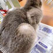 ヒメ日記 2026/02/12 14:44 投稿 琴美◇ことみ 人妻吐息