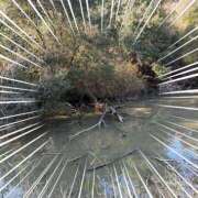 ヒメ日記 2026/02/17 16:24 投稿 琴美◇ことみ 人妻吐息