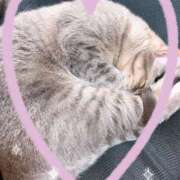 ヒメ日記 2026/02/24 14:06 投稿 琴美◇ことみ 人妻吐息