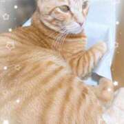 ヒメ日記 2026/02/28 14:56 投稿 琴美◇ことみ 人妻吐息