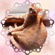 ヒメ日記 2026/03/01 14:56 投稿 琴美◇ことみ 人妻吐息