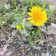 ヒメ日記 2026/03/01 18:46 投稿 琴美◇ことみ 人妻吐息