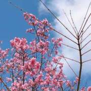 ヒメ日記 2026/03/05 12:36 投稿 琴美◇ことみ 人妻吐息