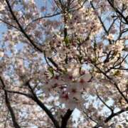 ヒメ日記 2026/04/06 12:26 投稿 琴美◇ことみ 人妻吐息