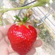 ヒメ日記 2026/04/07 12:56 投稿 琴美◇ことみ 人妻吐息