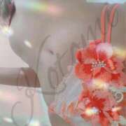 ヒメ日記 2026/06/04 09:26 投稿 琴美◇ことみ 人妻吐息