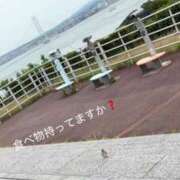 ヒメ日記 2026/06/23 07:46 投稿 琴美◇ことみ 人妻吐息