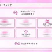 ヒメ日記 2025/11/11 14:58 投稿 ルル バニーコレクション千葉栄町店