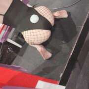 ヒメ日記 2025/12/25 15:36 投稿 ルル バニーコレクション千葉栄町店