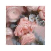 ヒメ日記 2025/11/20 16:46 投稿 まな ロイヤル土佐