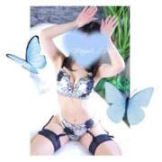 ヒメ日記 2025/11/24 01:15 投稿 まな ロイヤル土佐