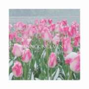 まな 謝罪 ロイヤル土佐