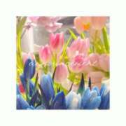 まな 無事に ロイヤル土佐