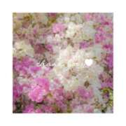 まな 11月、12月のお礼💌 ロイヤル土佐