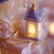 ヒメ日記 2025/10/23 08:16 投稿 乙葉菜々梨 五十路マダム富山店(カサブランカグループ)