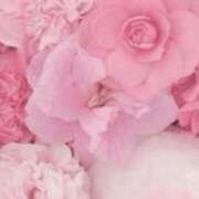 ヒメ日記 2025/10/26 08:12 投稿 乙葉菜々梨 五十路マダム富山店(カサブランカグループ)