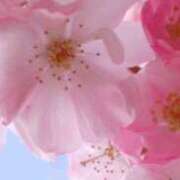 乙葉菜々梨 [お題]from:トンボさん 五十路マダム富山店(カサブランカグループ)