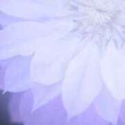 乙葉菜々梨 [お題]from:コワッパさん 五十路マダム富山店(カサブランカグループ)