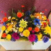 すもも 待機中は〜 丸妻 横浜本店