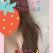 ヒメ日記 2026/04/24 09:53 投稿 すもも 丸妻 横浜本店
