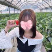 ヒメ日記 2026/04/01 19:47 投稿 のい ビギナーズ神戸