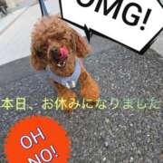 ヒメ日記 2025/11/02 13:19 投稿 ゆう★ 恵里亜(エリア)