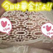 ヒメ日記 2026/08/21 09:30 投稿 ゆう★ 恵里亜(エリア)