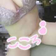 ヒメ日記 2025/10/25 18:04 投稿 こころ 大高・大府市・東海市ちゃんこ