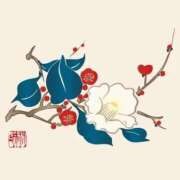 ちあき 本年もありがとうございましたm(__)m 熟女の風俗最終章 仙台店