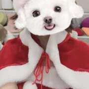 ヒメ日記 2025/12/24 14:13 投稿 れいな 2980円