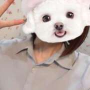 ヒメ日記 2026/02/20 18:43 投稿 れいな 2980円