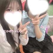 れいな 仲良しのこのはちゃん♡ 2980円