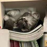 ヒメ日記 2025/10/02 12:09 投稿 美園りん ウルトラロイヤル