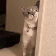 ヒメ日記 2025/10/05 22:38 投稿 美園りん ウルトラロイヤル