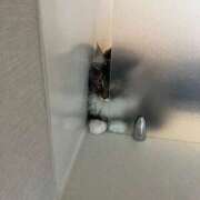 ヒメ日記 2025/10/08 14:28 投稿 美園りん ウルトラロイヤル