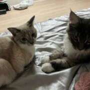 ヒメ日記 2025/10/11 12:08 投稿 美園りん ウルトラロイヤル