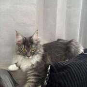 ヒメ日記 2025/10/17 20:48 投稿 美園りん ウルトラロイヤル