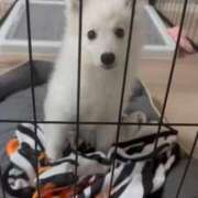 ヒメ日記 2025/10/20 18:58 投稿 美園りん ウルトラロイヤル