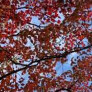 ヒメ日記 2025/10/12 02:18 投稿 せな スパーク梅田店