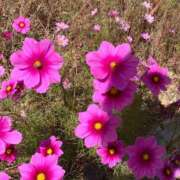 ヒメ日記 2025/10/20 22:56 投稿 せな スパーク梅田店