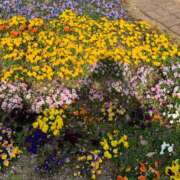 ヒメ日記 2025/11/10 22:30 投稿 せな スパーク梅田店