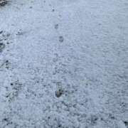 ヒメ日記 2025/11/18 23:15 投稿 せな スパーク梅田店