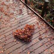 せな 久しぶりの日記 スパーク梅田店