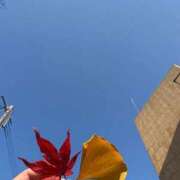 ヒメ日記 2025/12/15 22:52 投稿 せな スパーク梅田店