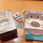 ヒメ日記 2025/10/13 12:09 投稿 藤森　あみ プルプル札幌性感エステ はんなり